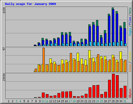 Daily usage for January 2009
