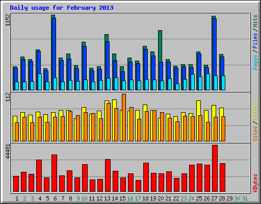 Daily usage for February 2013