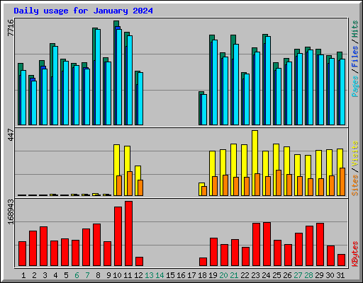Daily usage for January 2024