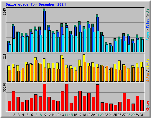 Daily usage for December 2024
