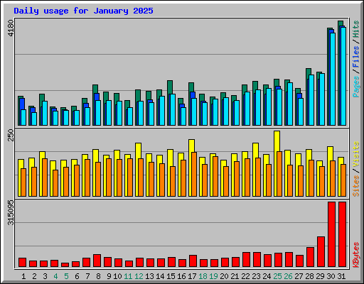 Daily usage for January 2025