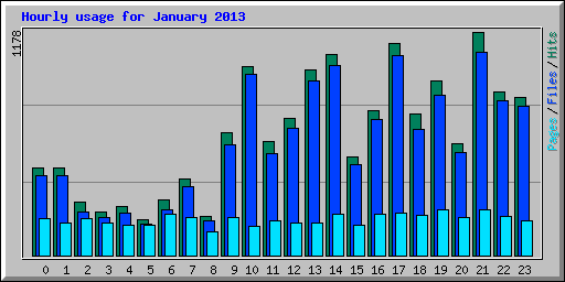 Hourly usage for January 2013