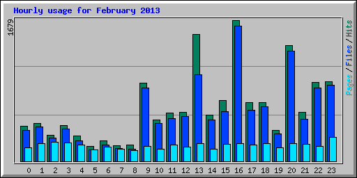 Hourly usage for February 2013