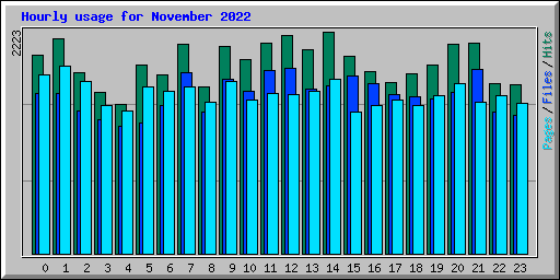Hourly usage for November 2022