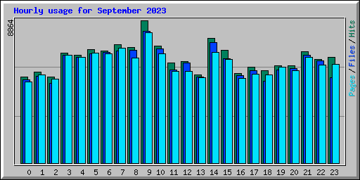 Hourly usage for September 2023
