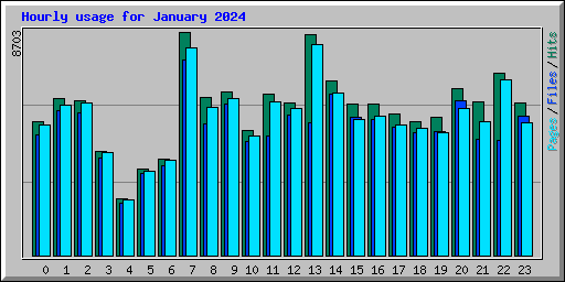 Hourly usage for January 2024