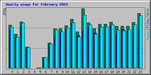 Hourly usage for February 2024