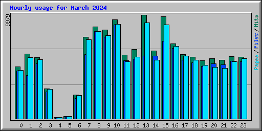 Hourly usage for March 2024