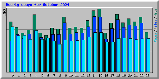 Hourly usage for October 2024