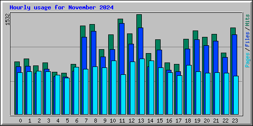 Hourly usage for November 2024