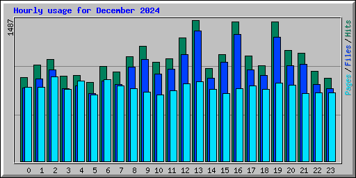 Hourly usage for December 2024