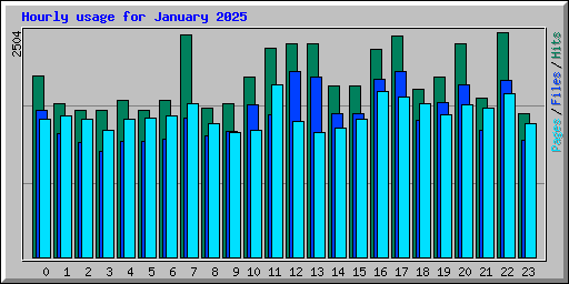 Hourly usage for January 2025