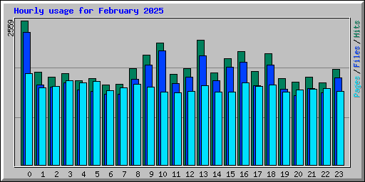 Hourly usage for February 2025