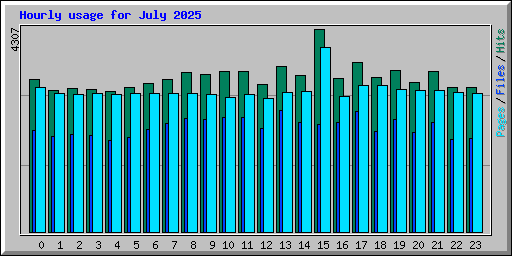 Hourly usage for July 2025