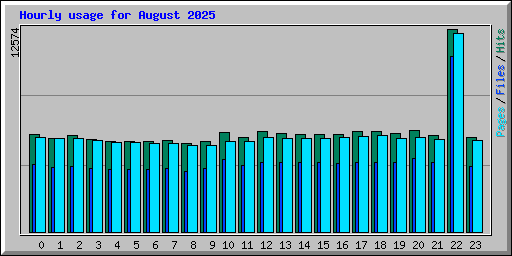 Hourly usage for August 2025